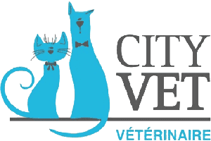 Cabinet vétérinaire CityVet
