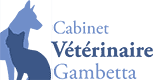 Cabinet vétérinaire Gambetta