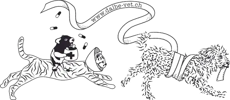 Tierarztpraxis Dalbe / Dalbevet